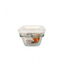A931-B432 FLANERA GDE CON TAPA SAVE N STORE
