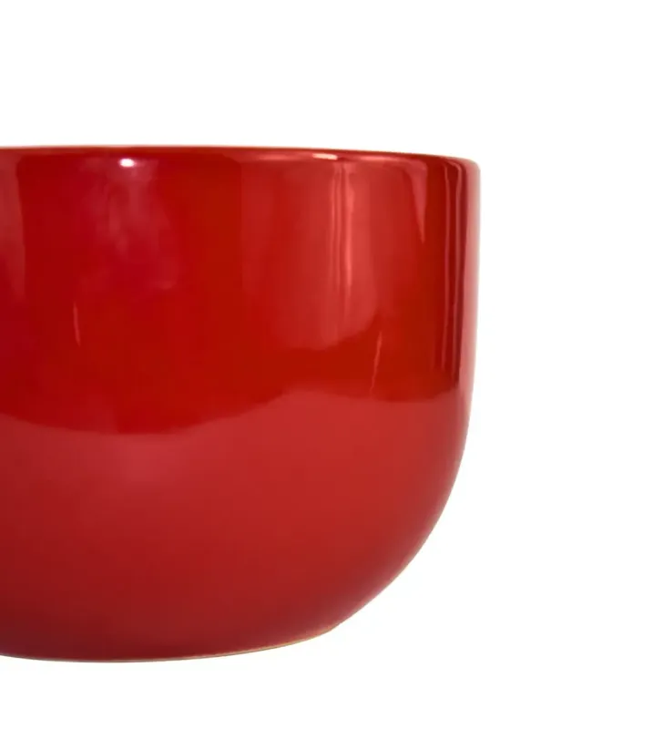 TAZON 610ML VARIOS DEC.