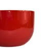 TAZON 610ML VARIOS DEC.