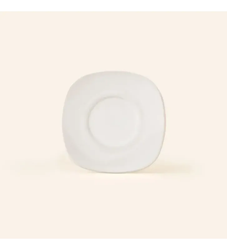 PLATO PARA TAZA 15 ANTARTIC