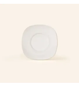 PLATO PARA TAZA 15 ANTARTIC