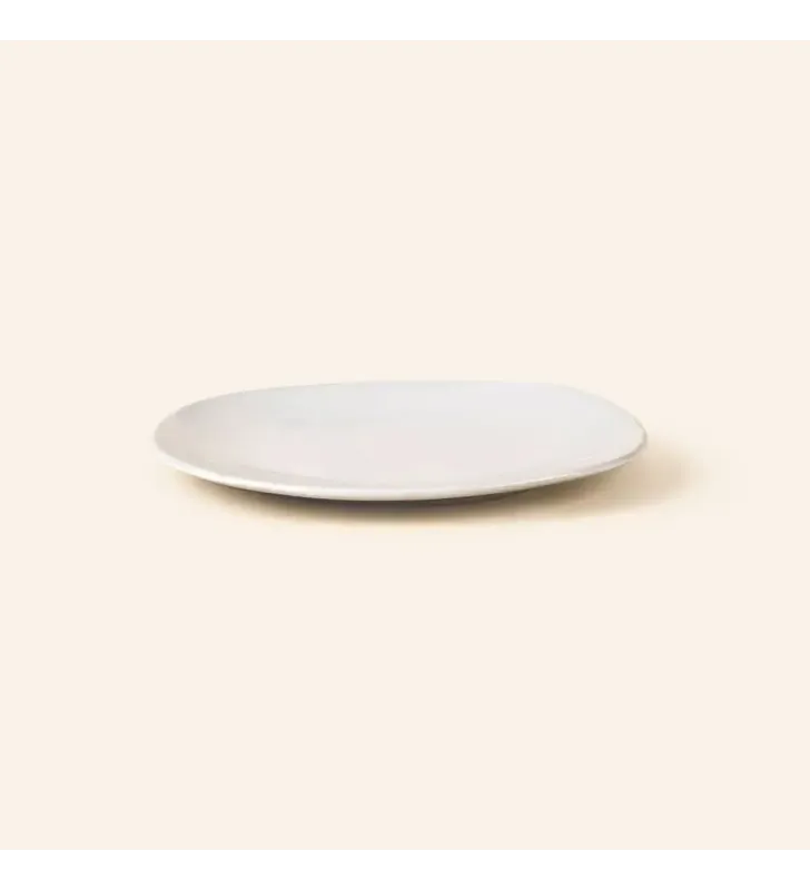PLATO PARA TAZA 15 ANTARTIC