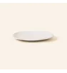 PLATO PARA TAZA 15 ANTARTIC