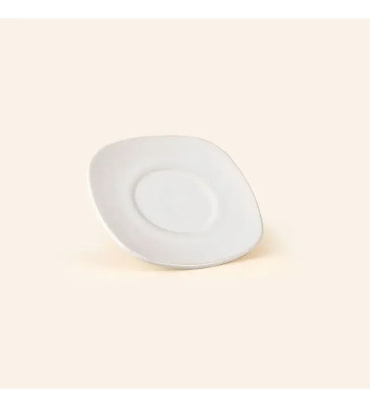 PLATO PARA TAZA 15 ANTARTIC
