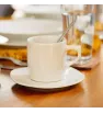 PLATO PARA TAZA 15 ANTARTIC