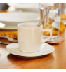TAZA ANTARTIC