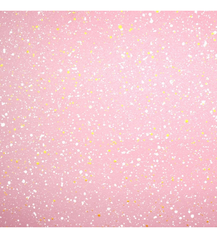 AHU-CY2406 JGO 3 ARROCERAS ROSA