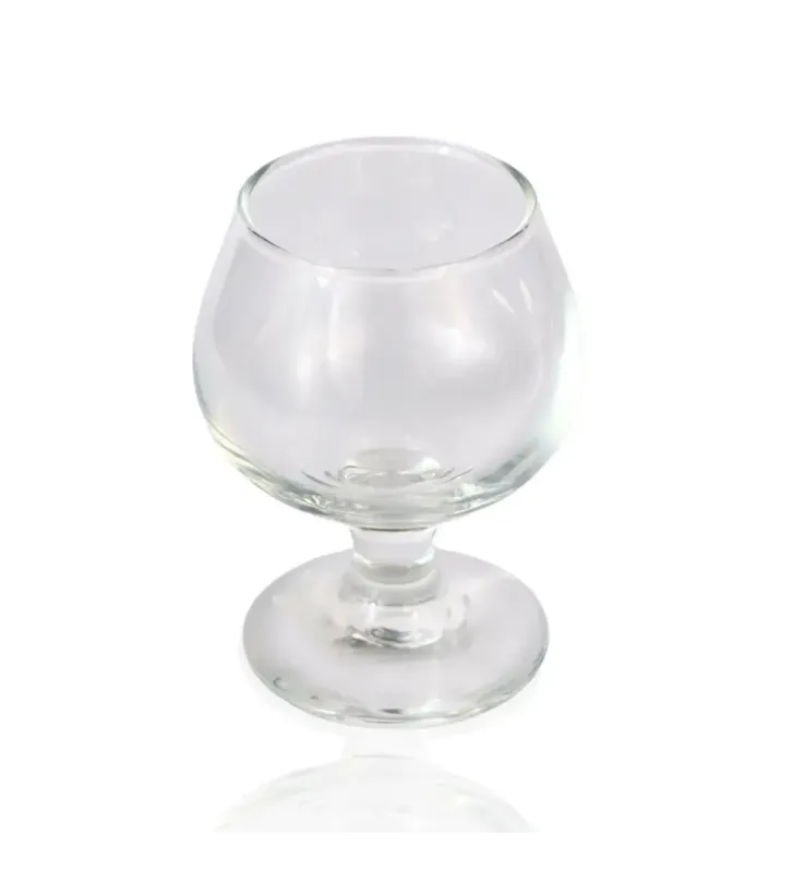 9023 COPA BRANDY GOBLET TTLE 000