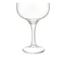 1565 COPA LAV GIN TONIC 24