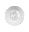 0834 PLATO HONDO 19.7 CMS. MISTY