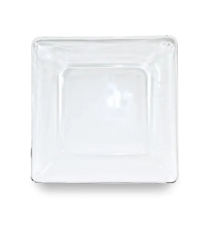 0764 PLATO EXTENDIDO 22.9 CMS. TEMPO