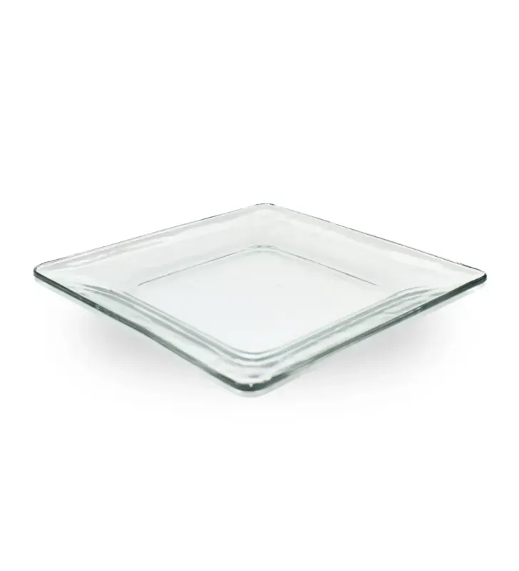 0764 PLATO EXTENDIDO 22.9 CMS. TEMPO